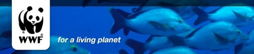 WWF Banner