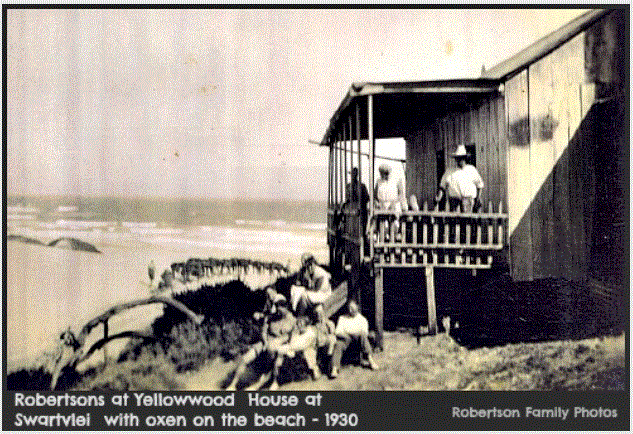 The Robertson's Yellowwood house at Swartvlei.