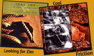 Albums from Zimbabwe - 1998 Looking for Zim and Cool Friction